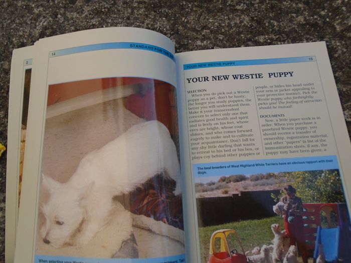Guide to Owning WestHighland Terrier, Book, Non fiction