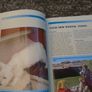 Guide to Owning WestHighland Terrier, Book, Non fiction Image 2