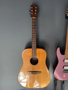 Avalon Silver DS-100 Acoustic Guitar
