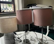 Blush Pink Coloured Lamps