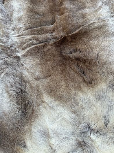 Reindeer Hide rug