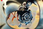 Gat Decor - Passion
