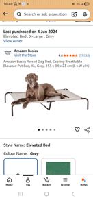 Amazon Basics XL raised/elevated dog bed in grey.