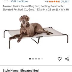 Amazon Basics XL raised/elevated dog bed in grey.