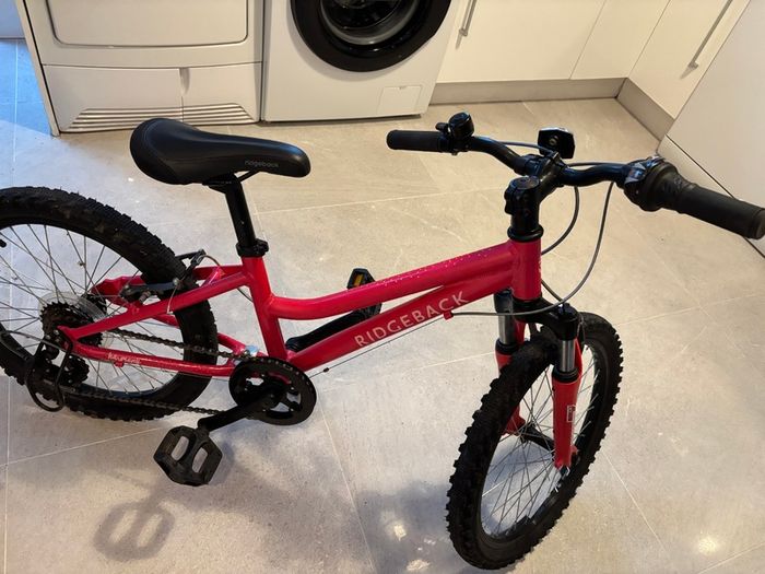 Ridgeback Harmony 20 Inch Bicycle