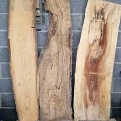 Spalted beech & ash slabs
