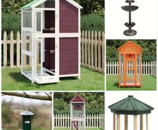 Bird Feeders