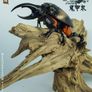 Crowtoys 1/12 scale Samurai Beetle action figures Image 7