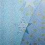 European Union  SLOVAKIA   ( E )  20  Euro. 2002. ( JCT   ) plate Code  GI12 RARE & Scarce ( Uncirculated ) Image 3