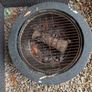 Firepit Image 3