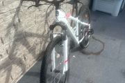 Rockrider 100 Mountain Bike