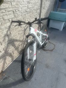 Rockrider 100 Mountain Bike