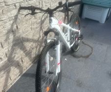 Rockrider 100 Mountain Bike