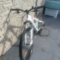 Rockrider 100 Mountain Bike