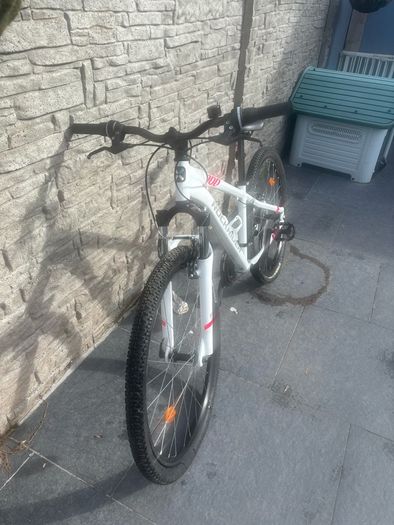 Rockrider 100 Mountain Bike