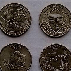U.S. Quarter Dollars