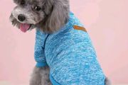dog jumpers for small dogs SALE