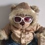 Simply Stunning  Build A Bear Winter Bear With Clothes And Accessories Image 2