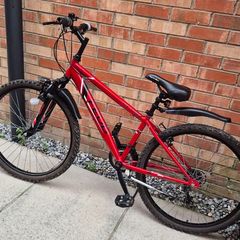 Apollo 26 inch mtb mountain bike
