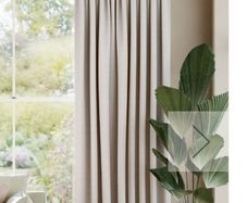 Curtain