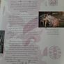 New book The Chinese Astrology handbook Image 3