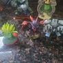Skylander Lot Image 5