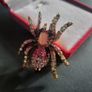 Tarantula Pink & White Sparkling Crystals Spider Brooch Shawl Pin Badge Image 2