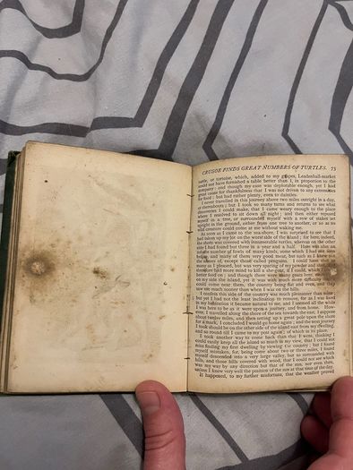 antique Robinson Crusoe by Defoe Illustrated book
