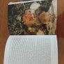 Book Image 2