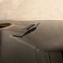 Fender Gemini Acoustic MIK Image 8