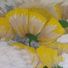 flowers234
