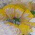 flowers234