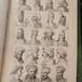 Goldsmiths  Animated Nature Vol 2 History of Animals Image 5