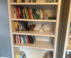 Book shelves