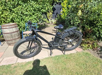 electric bike