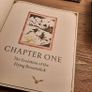 (New) Quidditch Through The Ages..A Magical Companion to Harry Potter Image 5