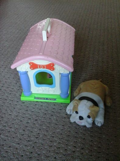 dog and kennel