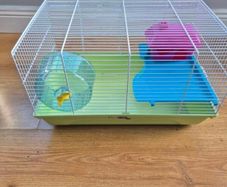 hamster cage