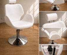 Professional Hydraulic Reclining Beauty / Salon Treatment Chair