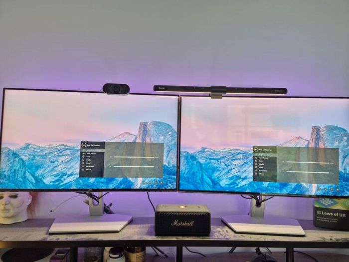 Dell 24" IPS Monitors (2 Monitors) - Excellent Condition
