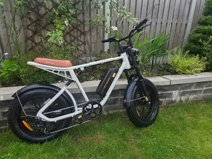 Electric Moped - ENGWE M20