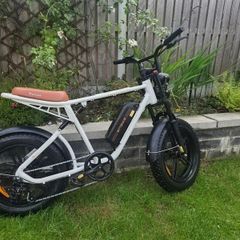 Electric Moped - ENGWE M20