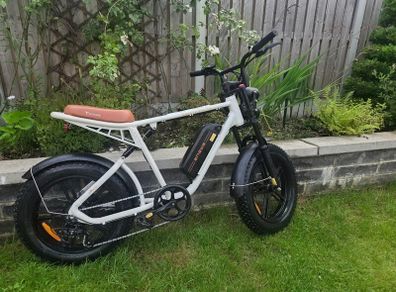 Electric Moped - ENGWE M20