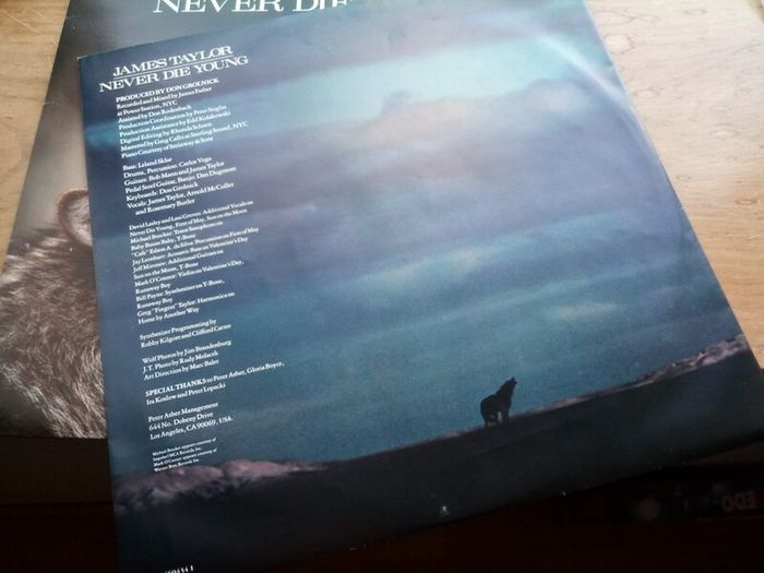 James Taylor 12in Vinyl