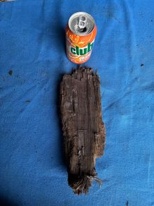 bog oak