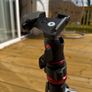 Mafrotto Befree Tripod, Ballhead and Custom Plate Image 2