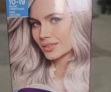 Palette Intensive Colour Cream 10-19 Cool Silver Blonde Hair Colour - Full Box - with English Instruction Leaflet (Pack of 10)