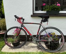 Fuji Road Bike