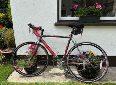 Fuji Road Bike