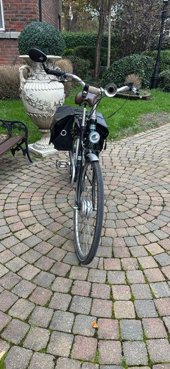 Electrical Bike Momentum T Model